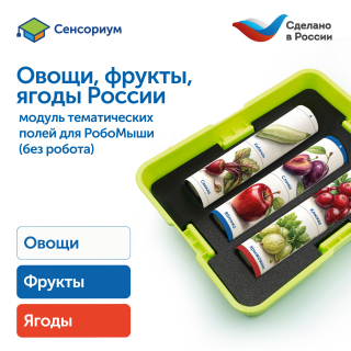 MS0102/2 Модуль "Овощи, фрукты, ягоды России"