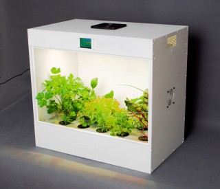 Агролаборатория ECOBOX ED - учебная гидропонная ферма для школ, СПО и ВУЗов.